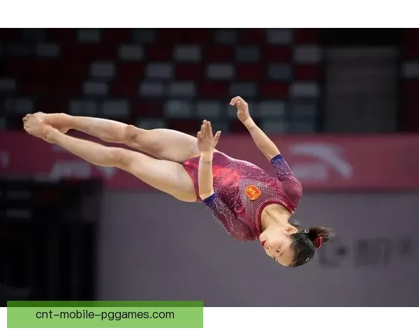 体操公开赛：挥洒青春，舞动梦想