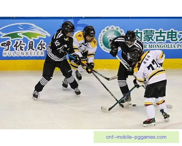 冰球公开赛：热血激战，冰上风暴！